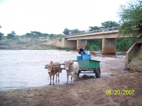 The Thike River